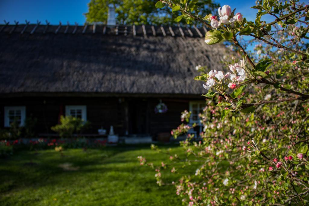 Kuusetuka Tourism Farm Villa Pahkla Exteriör bild
